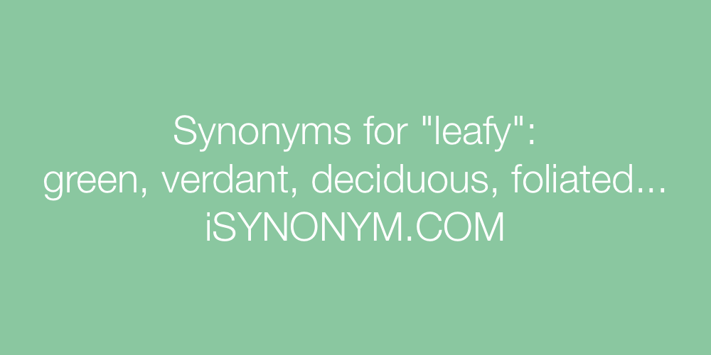 Synonyms leafy