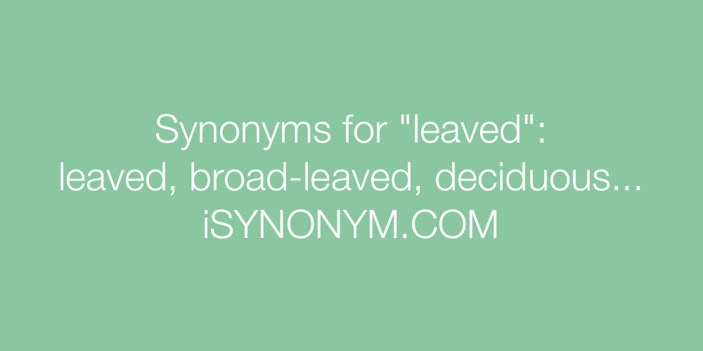 Synonyms leaved