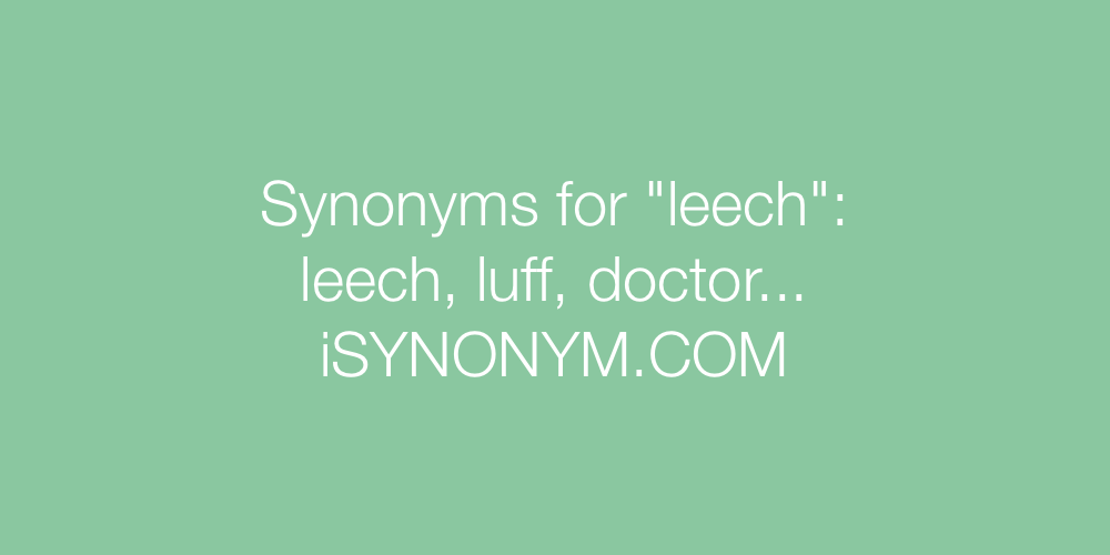 Synonyms leech