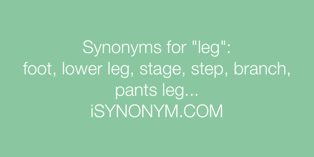 Synonyms leg
