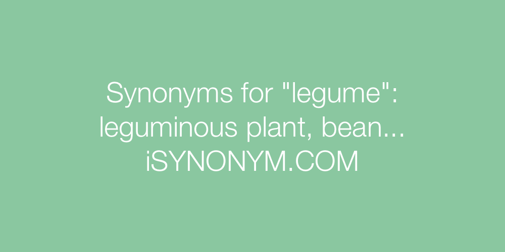 Synonyms legume