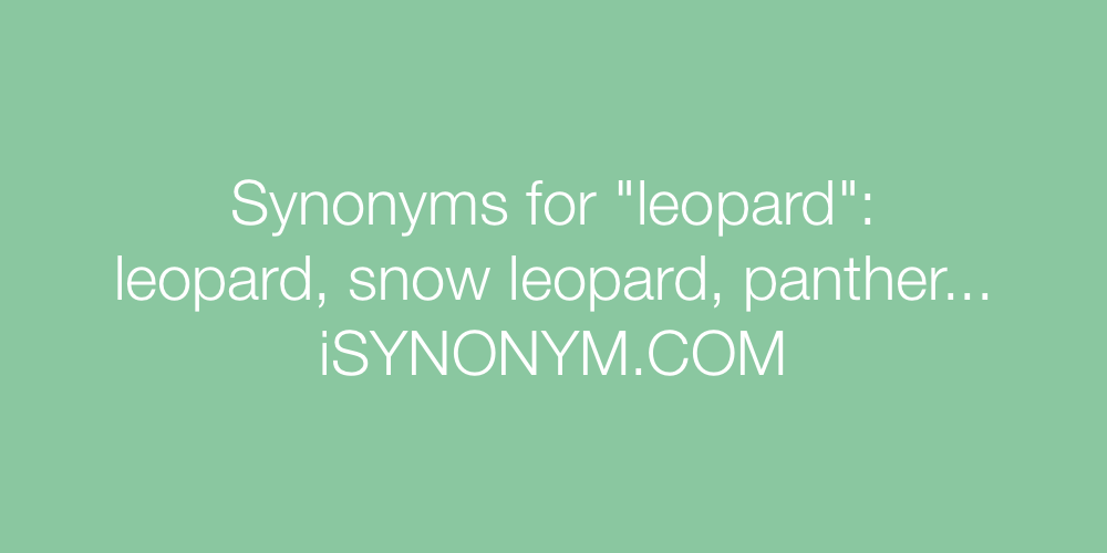 Synonyms leopard