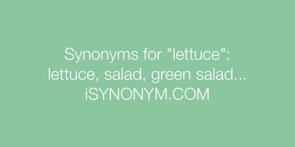 Synonyms lettuce