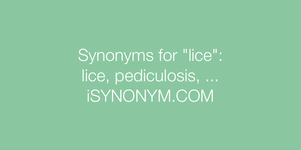 Synonyms lice