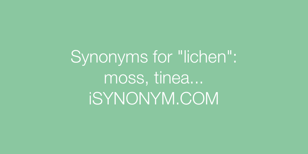 Synonyms lichen