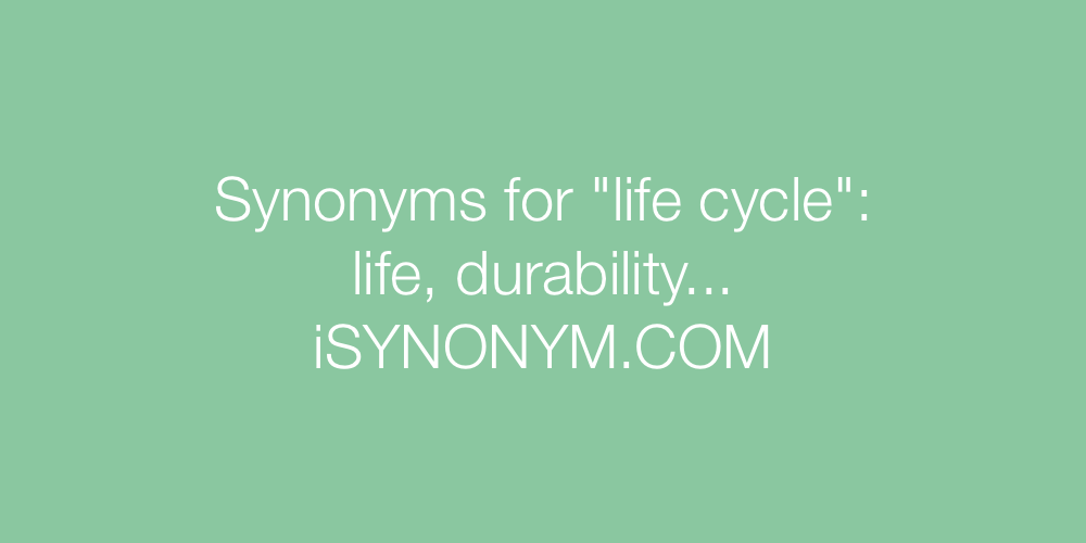Synonyms life cycle