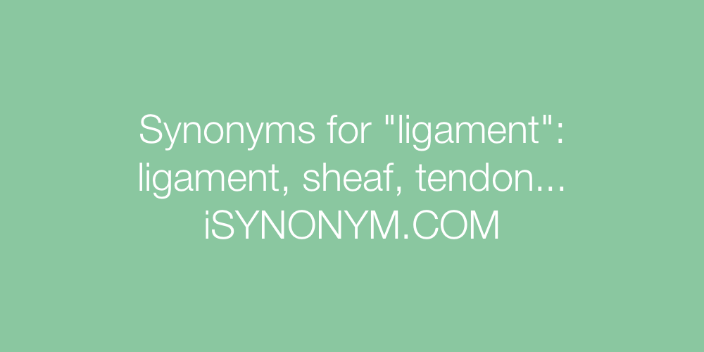 Synonyms ligament