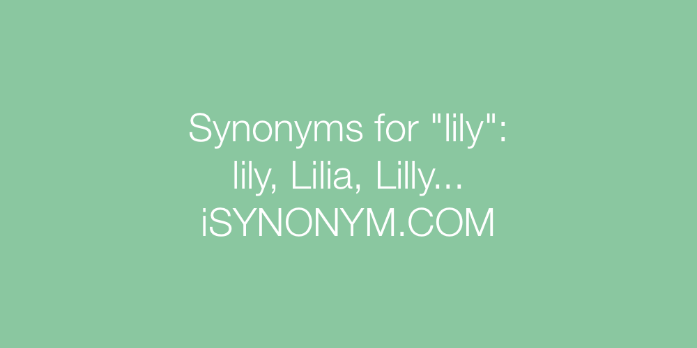Synonyms lily