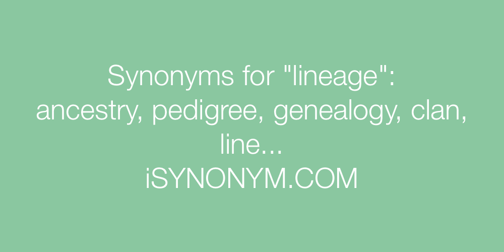Synonyms lineage