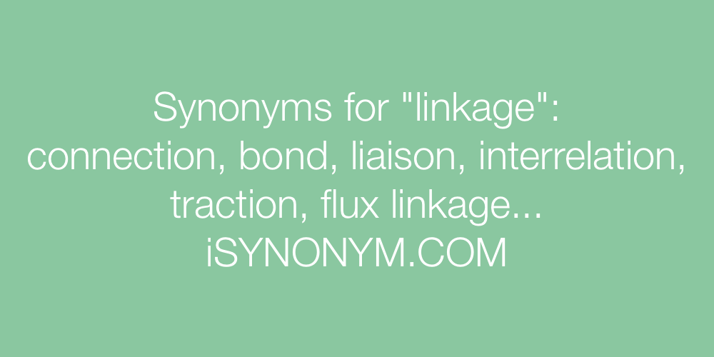 Synonyms linkage