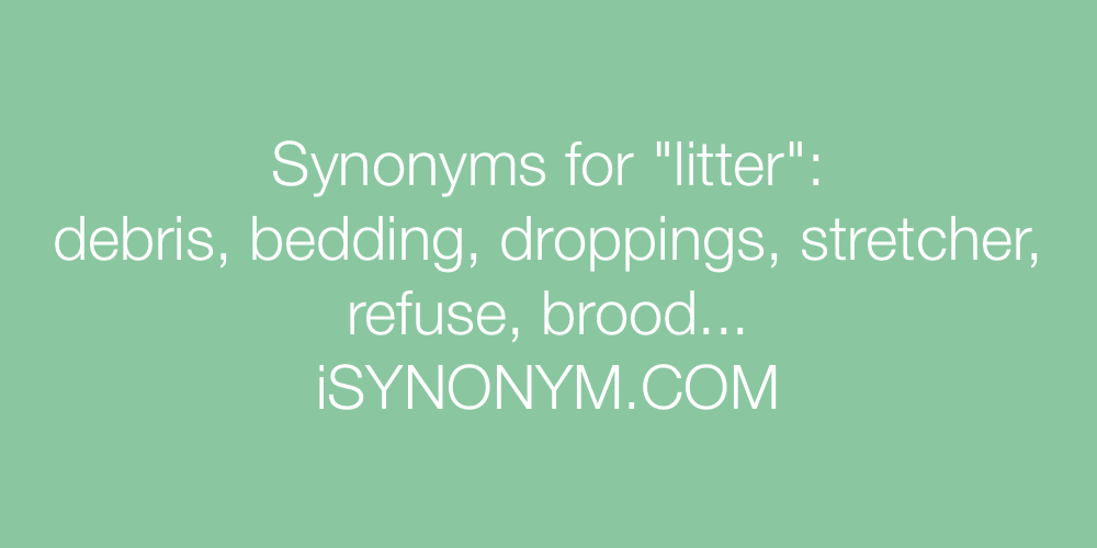 Synonyms litter