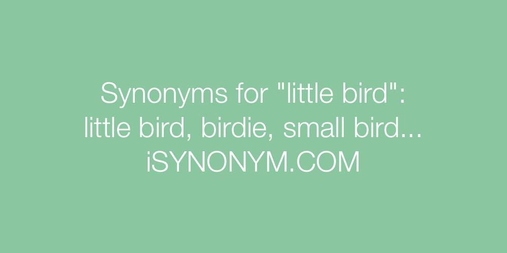 Synonyms little bird