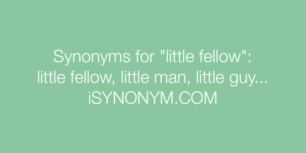 Synonyms little fellow