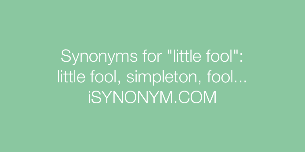 Synonyms little fool