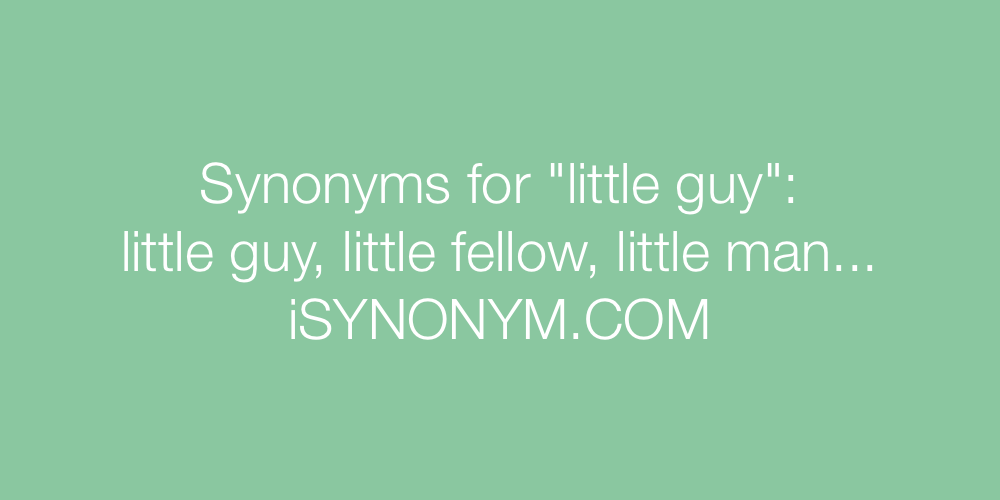 Synonyms little guy