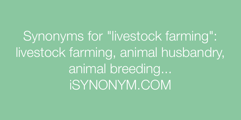 Synonyms livestock farming