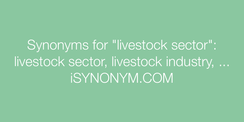 Synonyms livestock sector