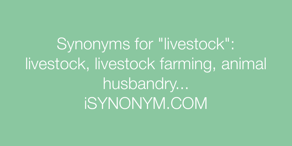 Synonyms livestock