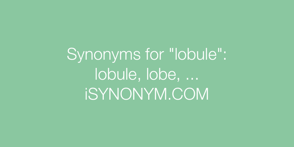 Synonyms lobule
