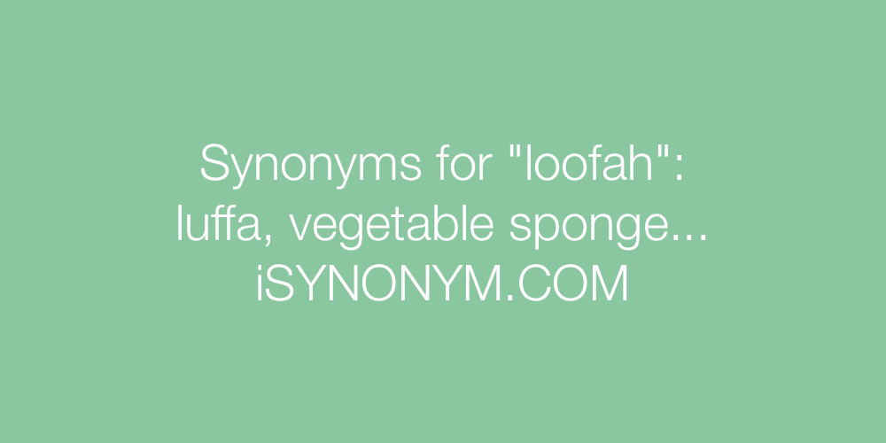Synonyms loofah