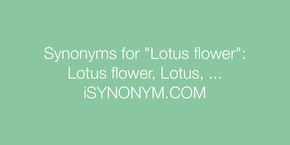 Synonyms Lotus flower