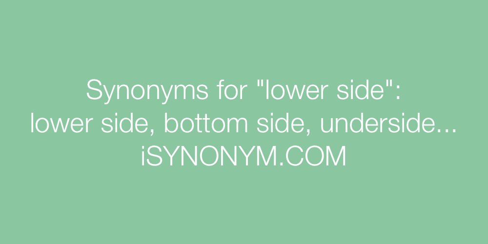Synonyms lower side
