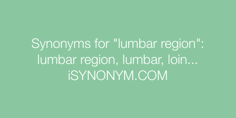 Synonyms lumbar region
