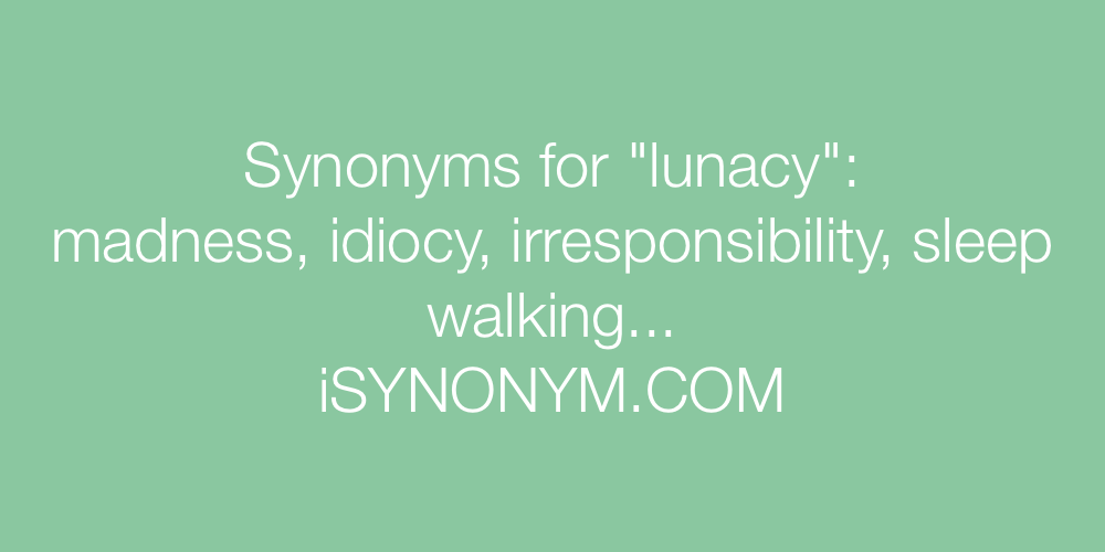 Synonyms lunacy