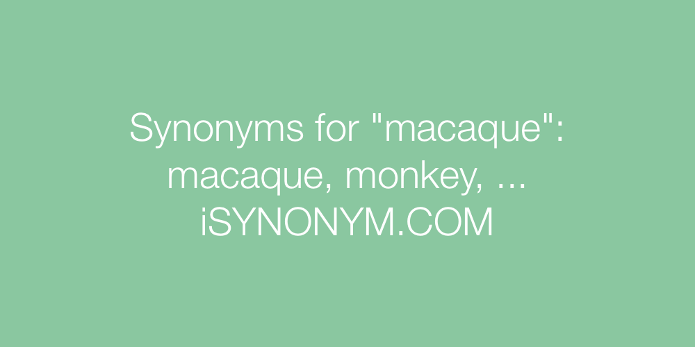 Synonyms macaque