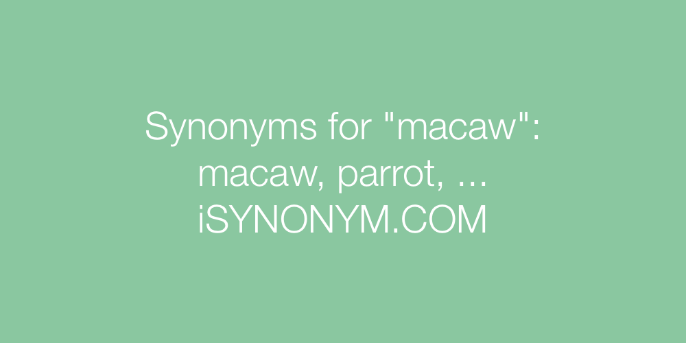 Synonyms macaw