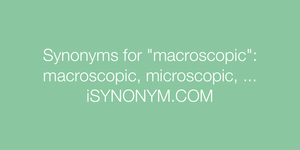 Synonyms macroscopic