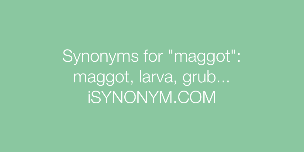 Synonyms maggot
