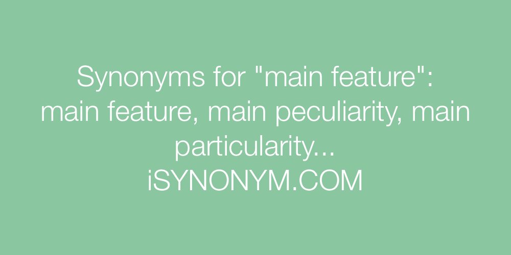 Synonyms main feature