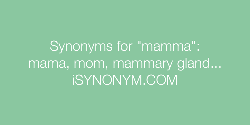 Synonyms mamma