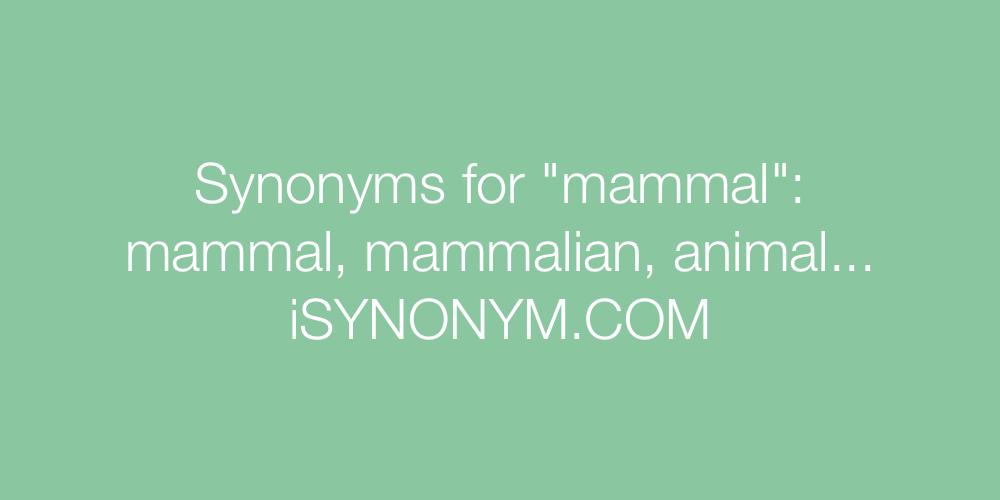 Synonyms mammal