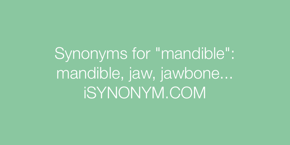Synonyms mandible