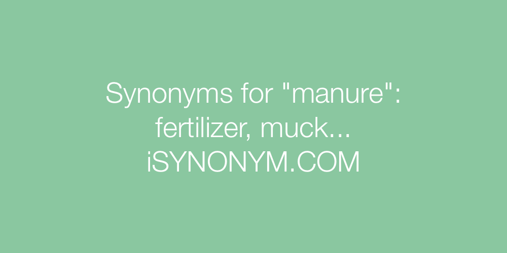 Synonyms manure