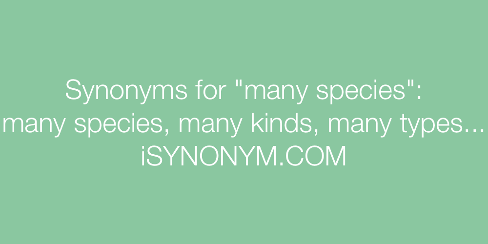 Synonyms many species