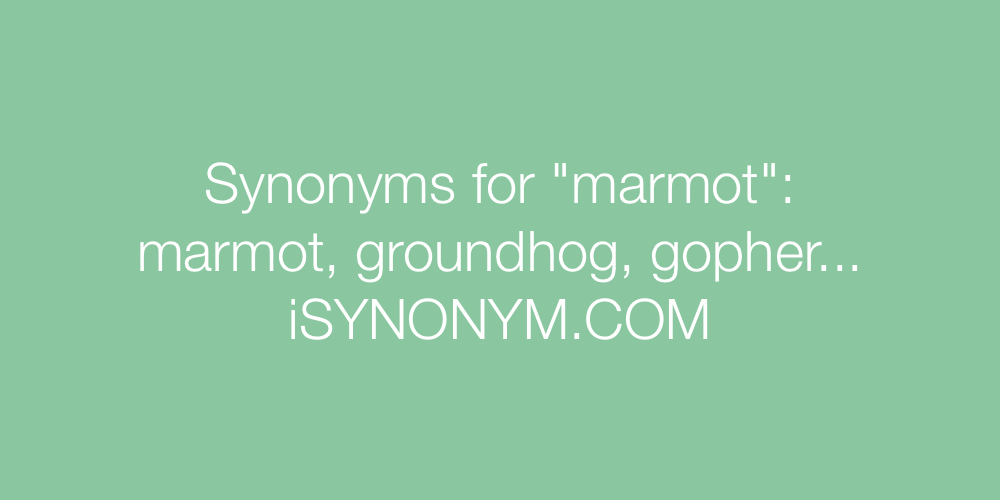 Synonyms marmot