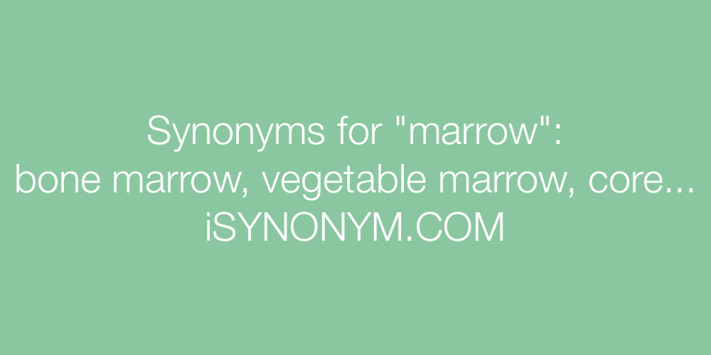 Synonyms marrow