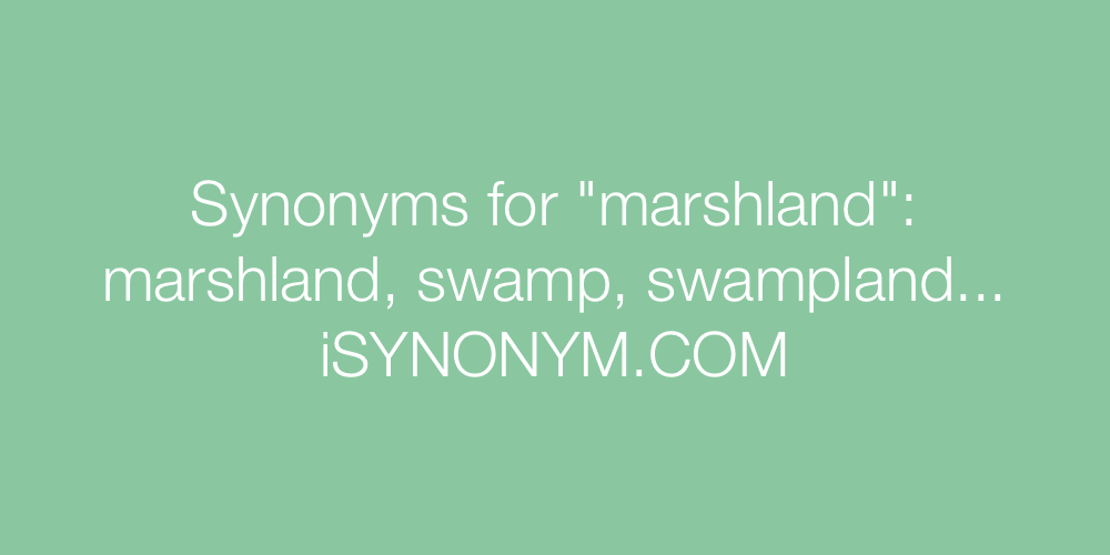Synonyms marshland