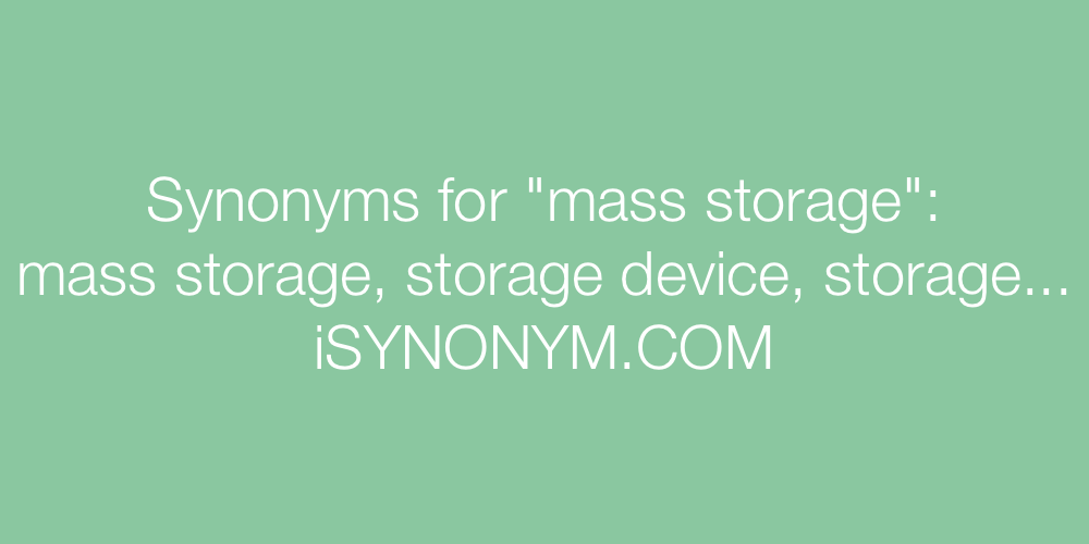 Synonyms mass storage