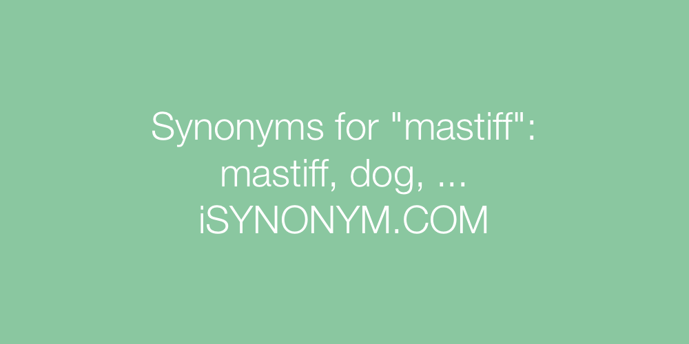Synonyms mastiff