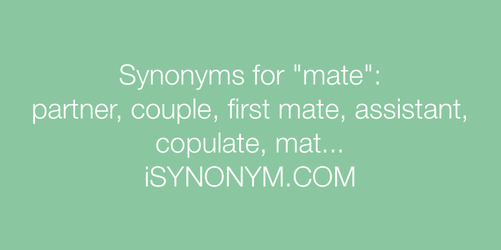 Synonyms mate