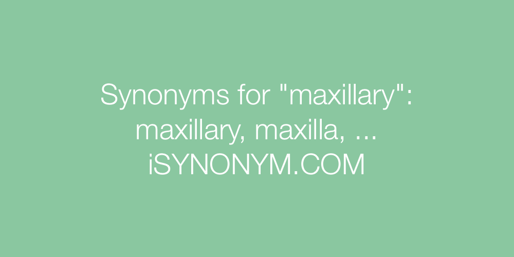 Synonyms maxillary