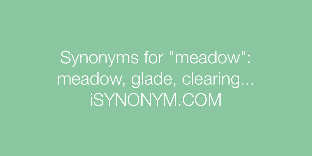Synonyms meadow