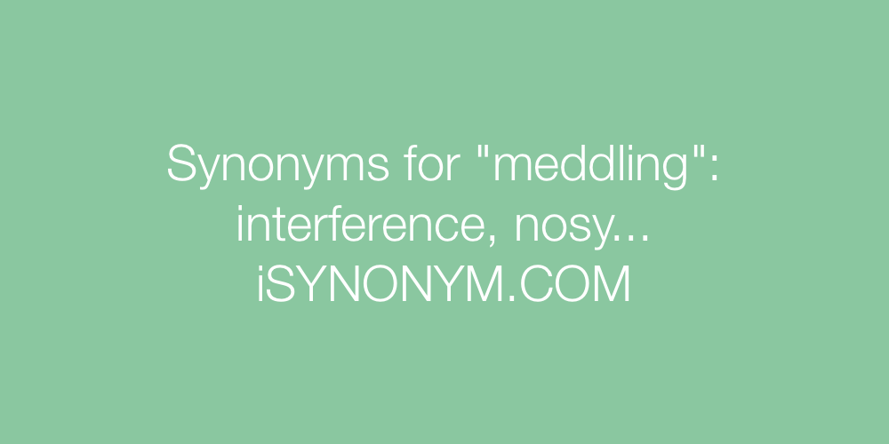 Synonyms meddling