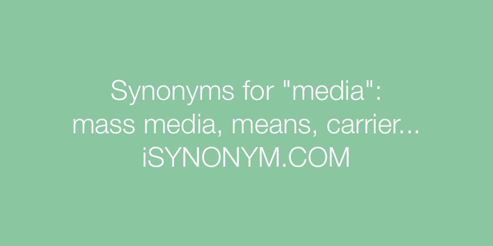 Synonyms media