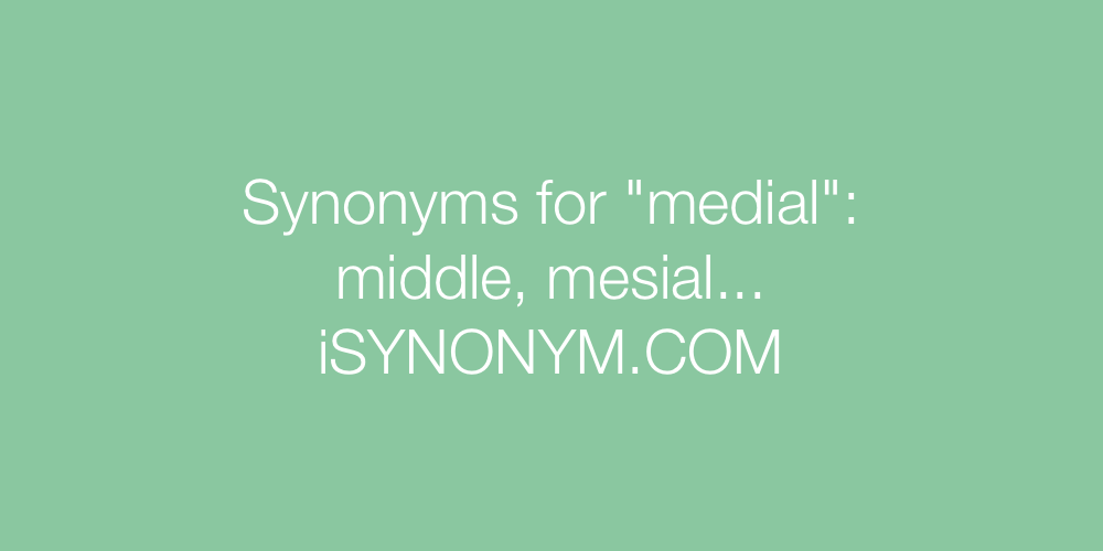Synonyms medial