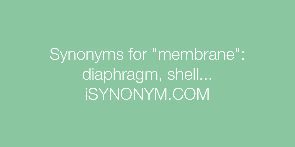 Synonyms membrane